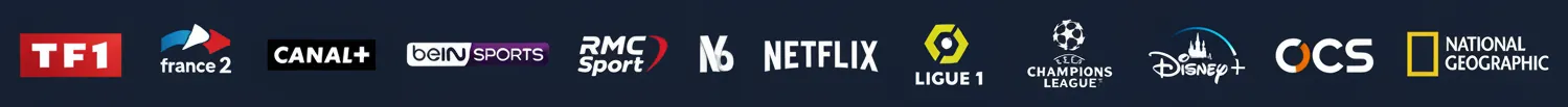 Logos des chaînes incluses : TF1, France 2, Canal+, beIN SPORTS, RMC Sport, M6, Netflix, Ligue 1, Champions League, OCS, Disney, National Geographic